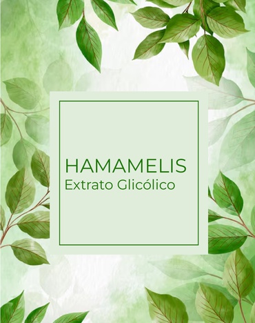 Extrato Glicólico de Hamamélis