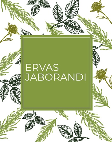 Ervas Jaborandi