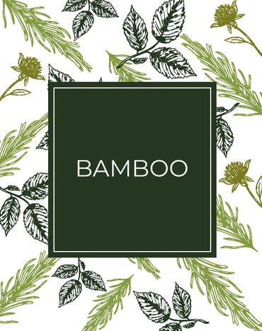 Bamboo